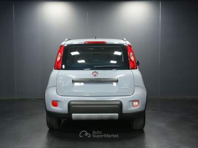 Fiat Panda 1.0 FireFly S&S Hybrid City Life Grigio usata Arsiè