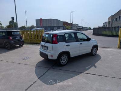 Fiat Panda 1.0 FireFly S&S Hybrid 70CV -OK NEOPATENTATI Bianco usata Cremosano