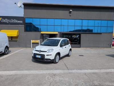 Fiat Panda 1.0 FireFly S&S Hybrid 70CV -OK NEOPATENTATI Bianco usata Cremosano