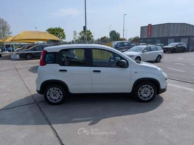 Fiat Panda 1.0 FireFly S&S Hybrid 70CV -OK NEOPATENTATI Bianco usata Cremosano