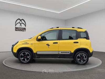 Fiat Panda 1.0 FireFly Hybrid Cross Oro usata Roma