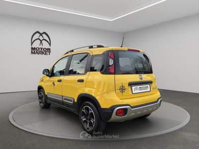 Fiat Panda 1.0 FireFly Hybrid Cross Oro usata Roma