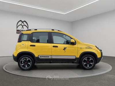Fiat Panda 1.0 FireFly Hybrid Cross Oro usata Roma