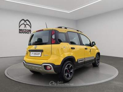 Fiat Panda 1.0 FireFly Hybrid Cross Oro usata Roma