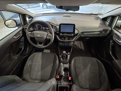 Ford Fiesta 5p 1.0 ecoboost Plus 100cv Argento usata Poirino