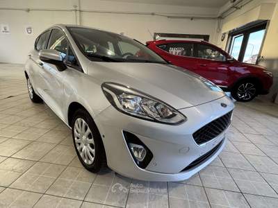 Ford Fiesta 5p 1.0 ecoboost Plus 100cv Argento usata Poirino