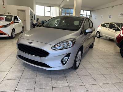 Ford Fiesta 5p 1.0 ecoboost Plus 100cv Argento usata Poirino