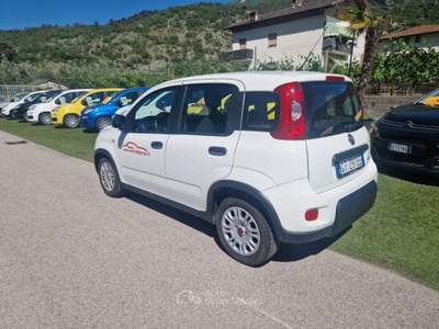 Fiat Panda 1.0 FireFly S&S Hybrid Bianco usata Arco