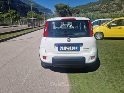 Fiat Panda 1.0 FireFly S&S Hybrid Bianco usata Arco