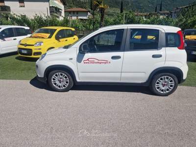 Fiat Panda 1.0 FireFly S&S Hybrid Bianco usata Arco