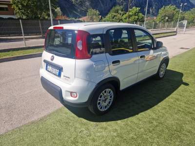 Fiat Panda 1.0 FireFly S&S Hybrid Bianco usata Arco