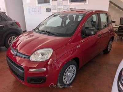 Fiat Panda 1.0 FireFly S&S Hybrid Pop Rosso usata Barletta