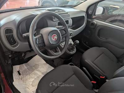 Fiat Panda 1.0 FireFly S&S Hybrid Pop Rosso usata Barletta