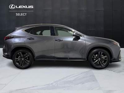 Lexus NX 450 2.5 Plug-in Premium+ 4WD e-CVT Grigio usata Brescia