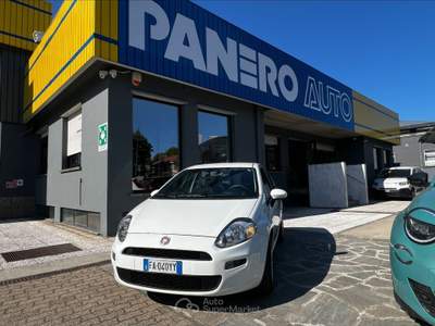 Fiat Punto  - punto 1.3 mjt ii 75 cv 5 porte street Bianco usata Torino