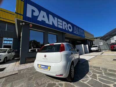 Fiat Punto  - punto 1.3 mjt ii 75 cv 5 porte street Bianco usata Torino