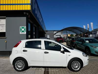 Fiat Punto  - punto 1.3 mjt ii 75 cv 5 porte street Bianco usata Torino