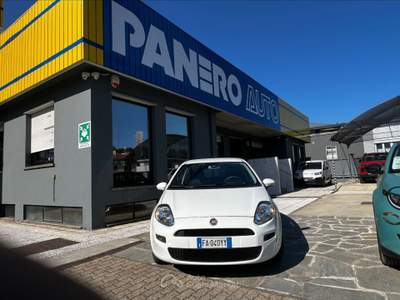 Fiat Punto  - punto 1.3 mjt ii 75 cv 5 porte street Bianco usata Torino