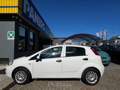 Fiat Punto  - punto 1.3 mjt ii 75 cv 5 porte street Bianco usata Torino