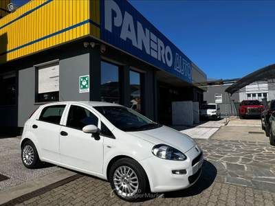 Fiat Punto  - punto 1.3 mjt ii 75 cv 5 porte street Bianco usata Torino