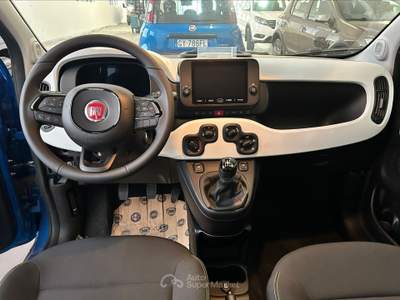 Fiat Panda Panda pandina 1.0 firefly s&s hybrid Blu/Azzurro usata Torino