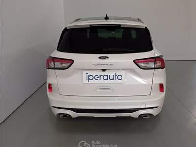 Ford Kuga 2.5 full hybrid vignale awd 190cv e-shifter Bianco usata Cava Manara
