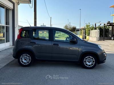 Fiat Panda Panda 1.0 FireFly S&S Hybrid Grigio usata Barrafranca