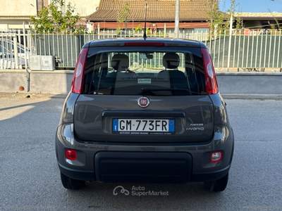 Fiat Panda Panda 1.0 FireFly S&S Hybrid Grigio usata Barrafranca
