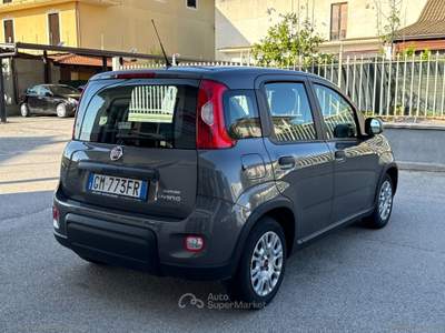 Fiat Panda Panda 1.0 FireFly S&S Hybrid Grigio usata Barrafranca