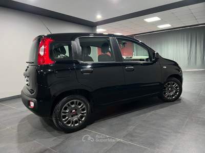 Fiat Panda 1.3 MJT 95 CV S&S km 112.000 PERFETTA Nero usata Atena lucana