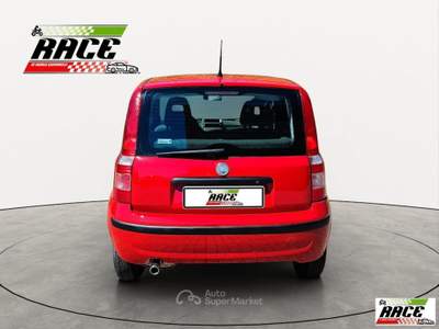 Fiat Panda 1.1 Active Rosso usata Pieve a Nievole