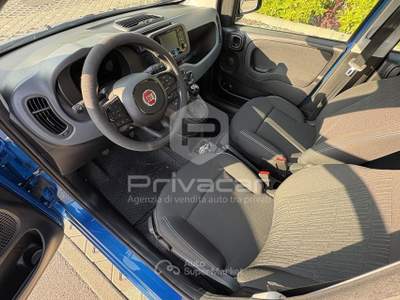 Fiat Panda FIAT Panda 1.0 FireFly S&S Hybrid Blu/Azzurro usata QUINTO DI TREVISO