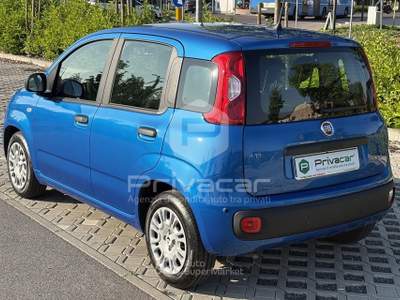 Fiat Panda FIAT Panda 1.0 FireFly S&S Hybrid Blu/Azzurro usata QUINTO DI TREVISO