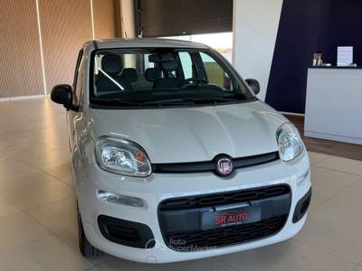 Fiat Panda Panda 1.2 Easy Beige usata Osio Sopra