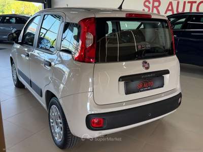Fiat Panda Panda 1.2 Easy Beige usata Osio Sopra