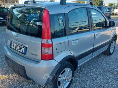 Fiat Panda TREKKING Natural Power Grigio usata SANT'AGATA SUL SANTERNO