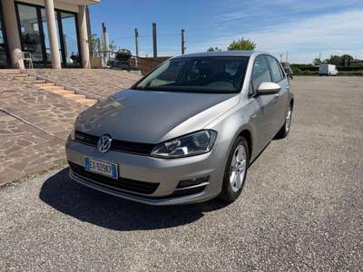 Volkswagen Golf 1.4 TGI 5p. Highline BlueMotion Grigio usata Rimini