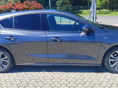 Ford Focus Hybrid 125 CV 5p. ST-Line Grigio usata Pieve a Nievole