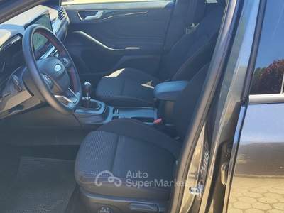 Ford Focus Hybrid 125 CV 5p. ST-Line Grigio usata Pieve a Nievole