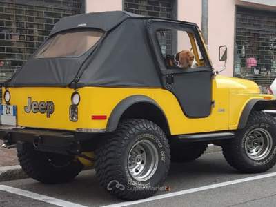 Jeep CJ-5 Jeep Cj5  4.2 benzina anno 1978 Giallo usata Giussano