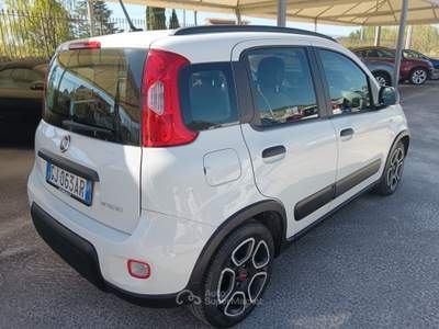 Fiat Panda FireFly S&S Hybrid City Life Bianco usata Sora
