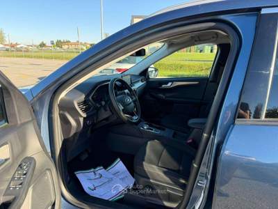 Ford Kuga Kuga III 2024 2.0 ecoblue Titanium X 2wd 120cv auto Blu/Azzurro usata Savignano sul Rubicone