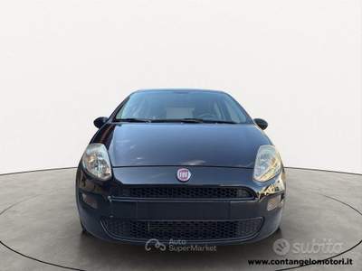 Fiat Punto II 75 CV 5 porte Street usata Arzano