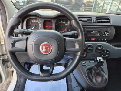 Fiat Panda METANO 44000KM Pandazzurri usata Ciampino