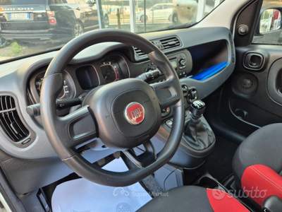 Fiat Panda METANO 44000KM Pandazzurri usata Ciampino