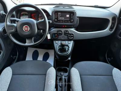 Fiat Panda 1.0 FireFly S&S Hybrid City Life - Neopatentati Grigio usata Sedriano