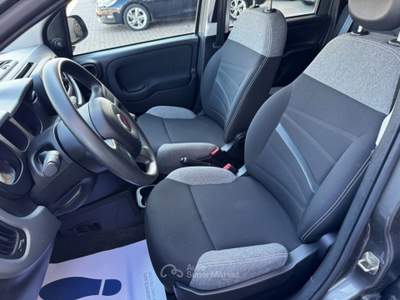 Fiat Panda 1.0 FireFly S&S Hybrid City Life - Neopatentati Grigio usata Sedriano
