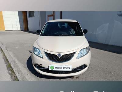 Lancia Ypsilon 1.2 69 CV 5 porte Gold Beige usata Feltre