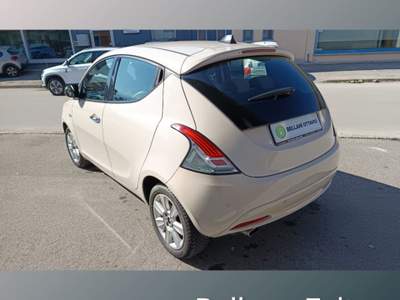 Lancia Ypsilon 1.2 69 CV 5 porte Gold Beige usata Feltre