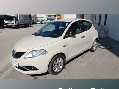 Lancia Ypsilon 1.2 69 CV 5 porte Gold Beige usata Feltre